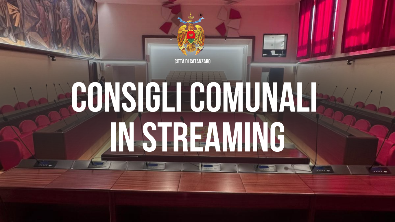 Consiglio in Streaming